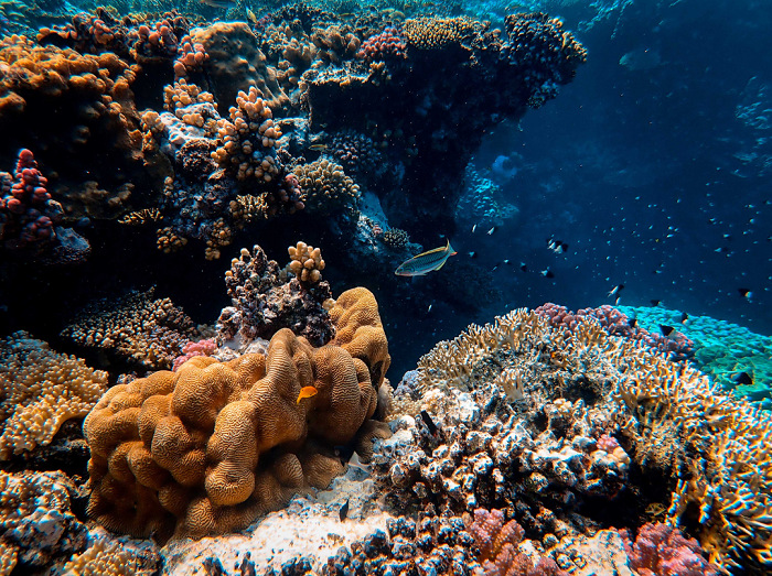 Nova temporada Jugatecambiental